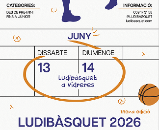 Detall cartell Ludibàsquet