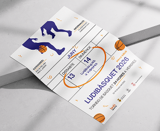 Aplicació cartell Ludibàsquet