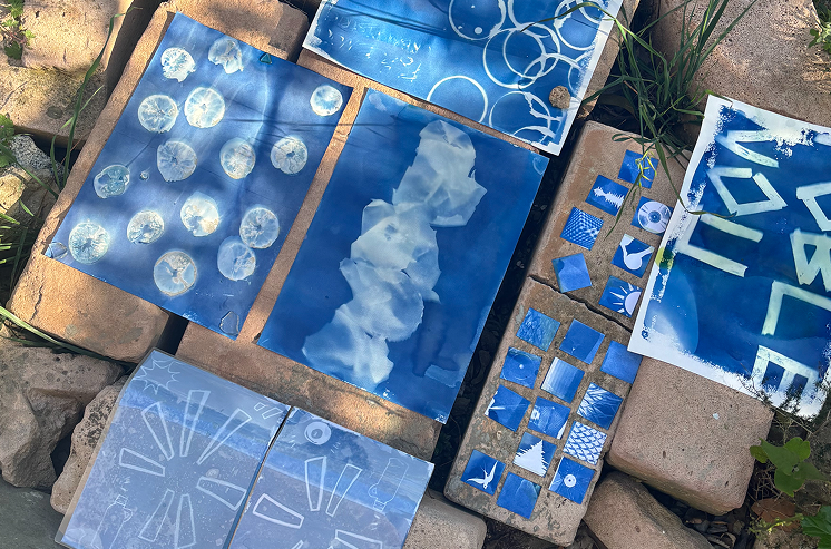 Projecte artístic destacat